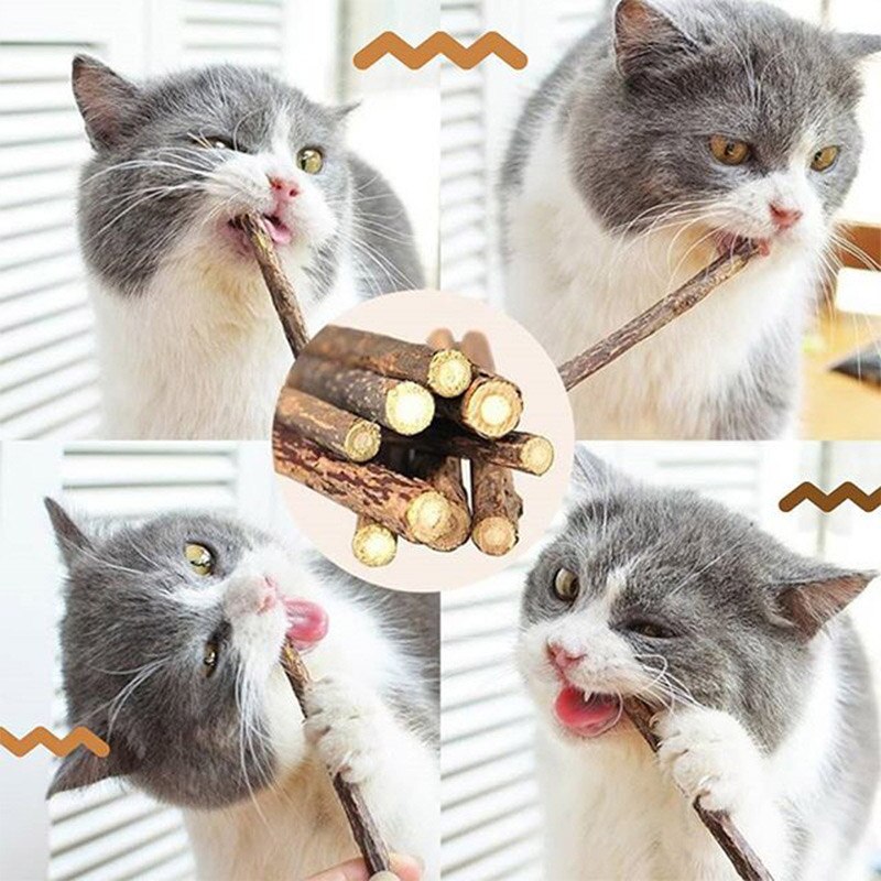 5 pieces of cat teething toys